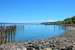 Washington - Tacoma State Park